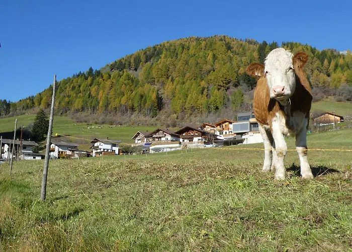 Posthuettl 펜션 비르겐